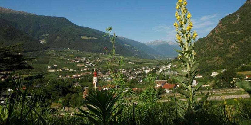 Umgebung und öffentliche Verkehrsmittel