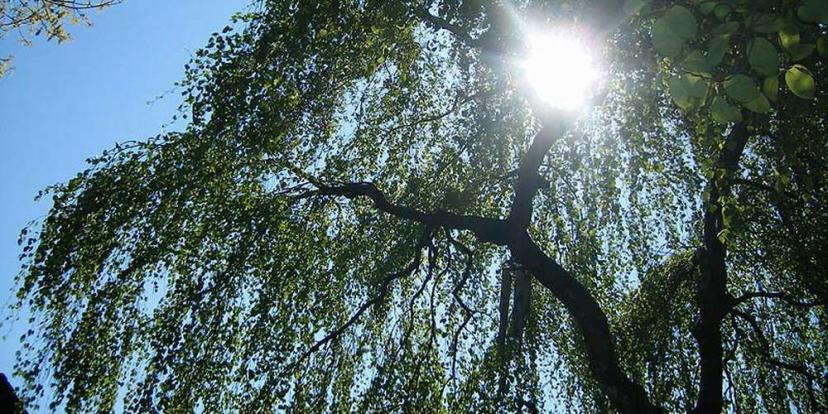 Unsere Ferienwohnung